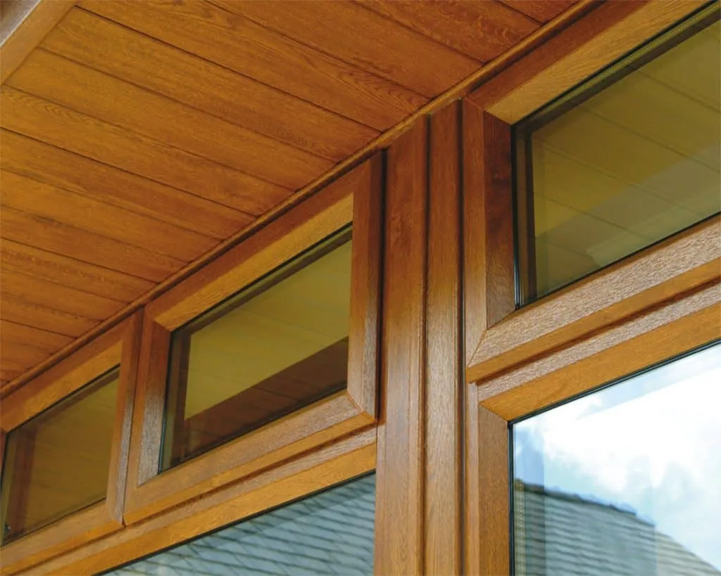 Golden Oak Close Up